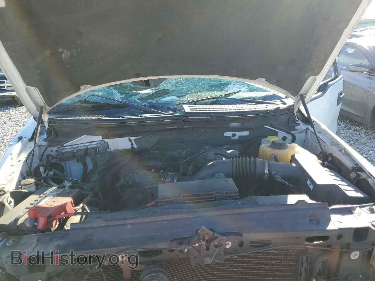 2014 FORD F150 - VIN: 1FTMF1CM6EFD12607 - Фото 11