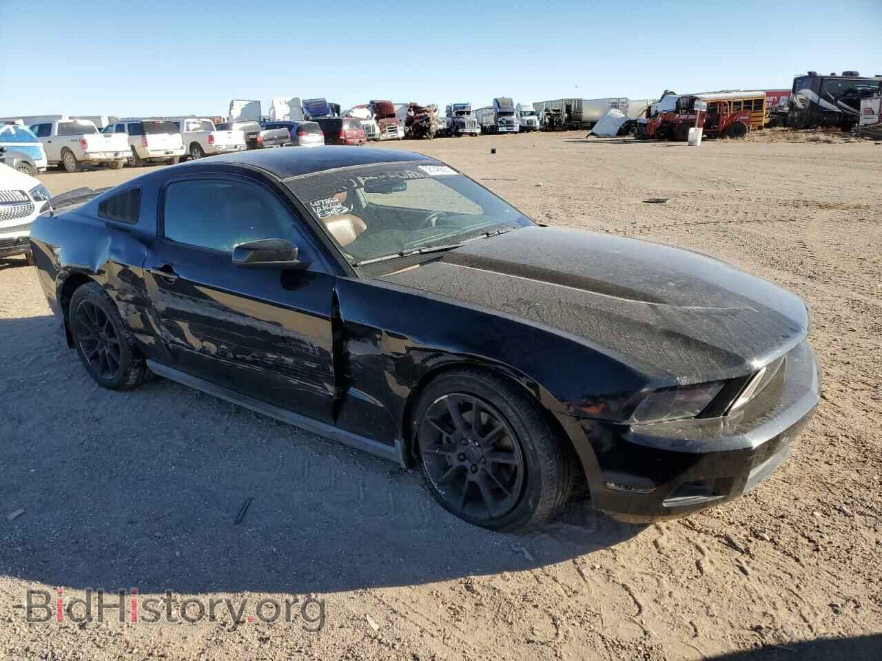 2011 FORD MUSTANG - VIN: 1ZVBP8AM7B5136584 - Фото 4