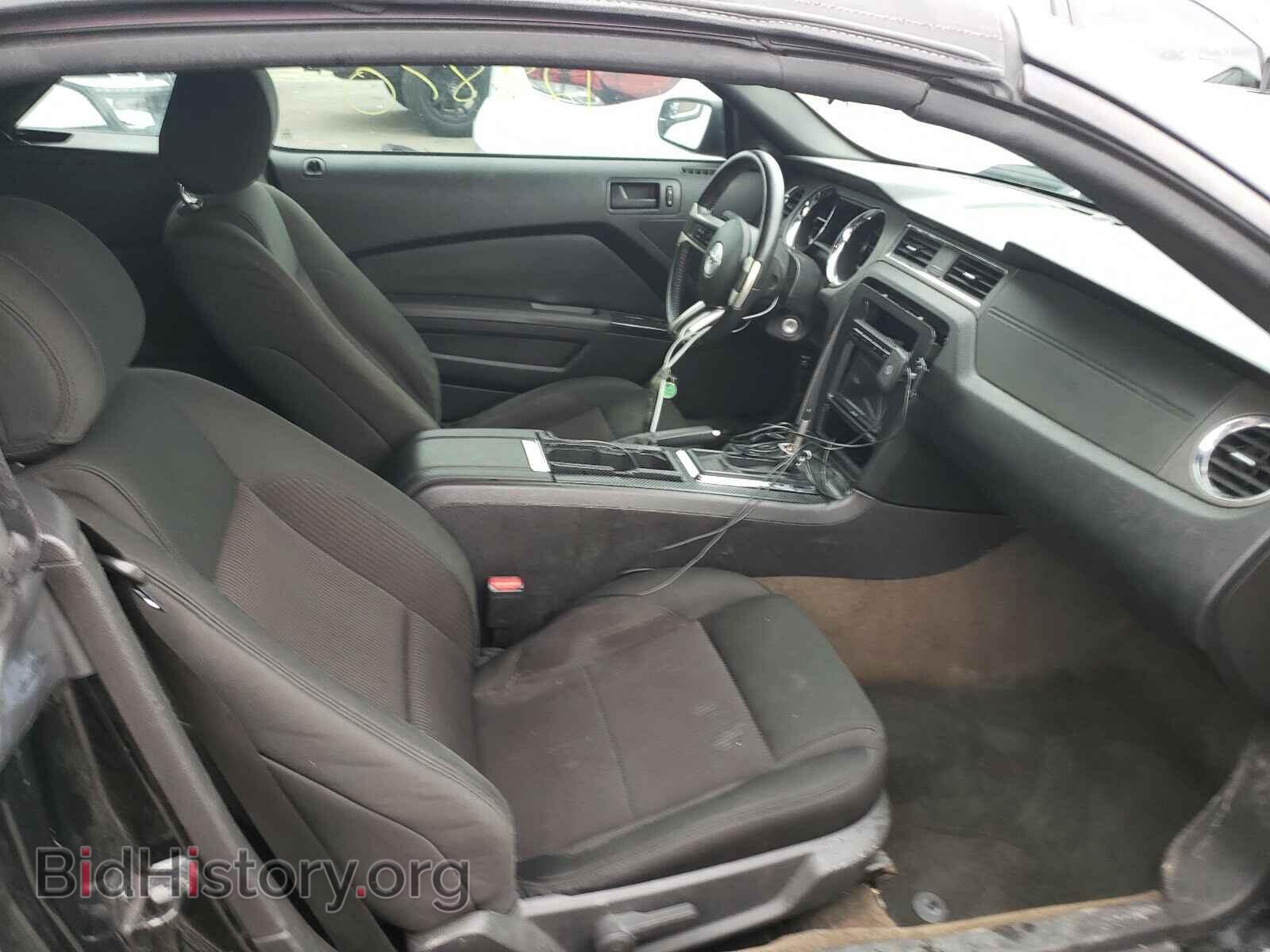 2013 FORD MUSTANG - VIN: 1ZVBP8EM7D5280326 - Фото 5