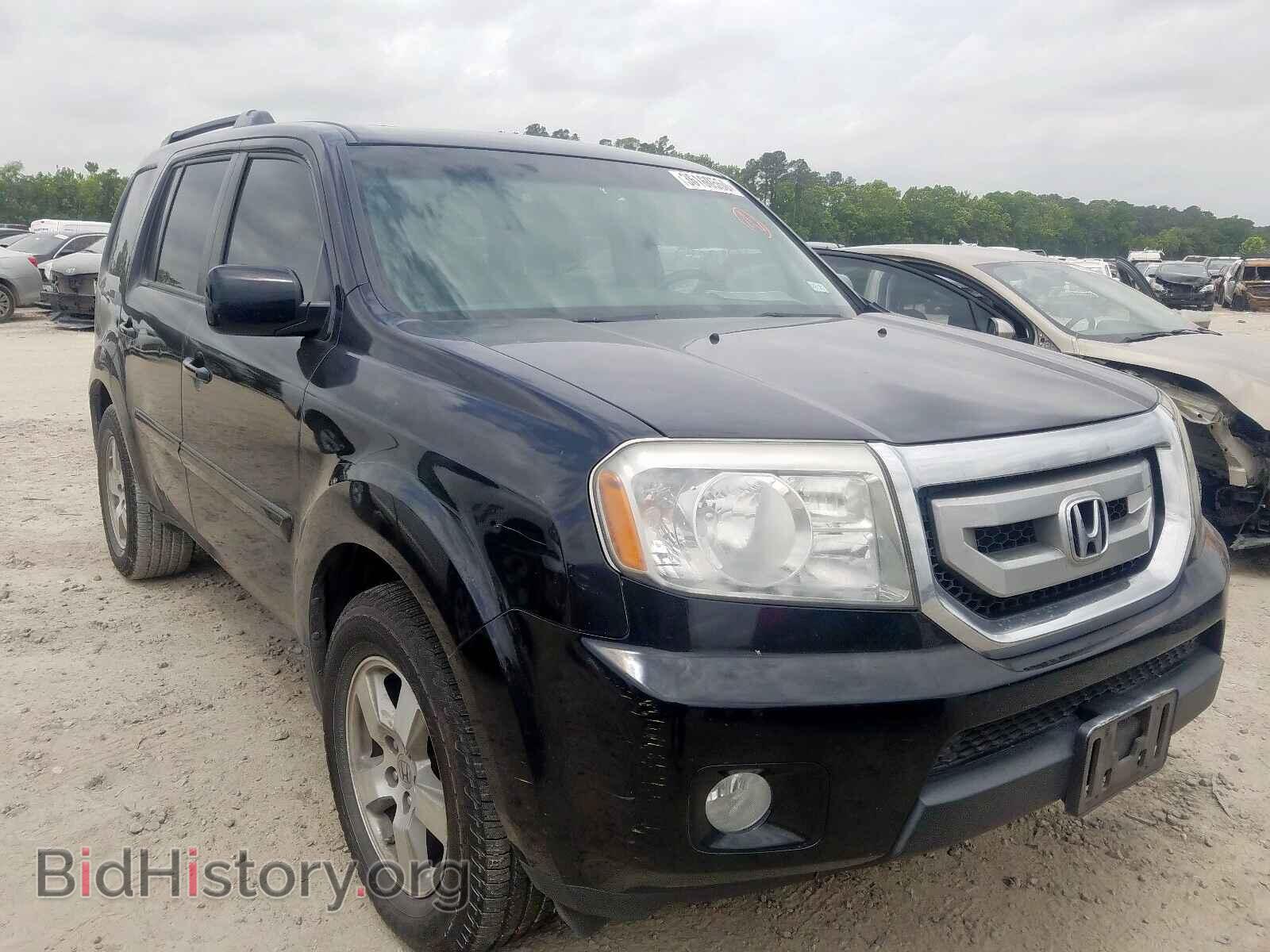 Фотография 5FNYF3H59BB039936 - HONDA PILOT 2011