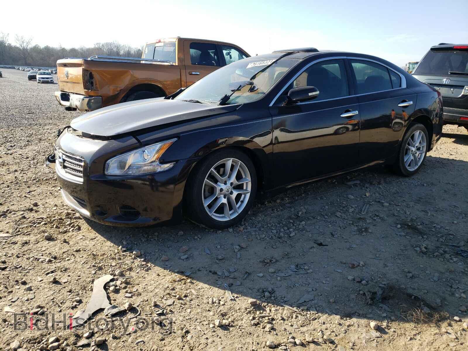 2010 NISSAN MAXIMA - VIN: 1N4AA5AP0AC860741 - Фото 2