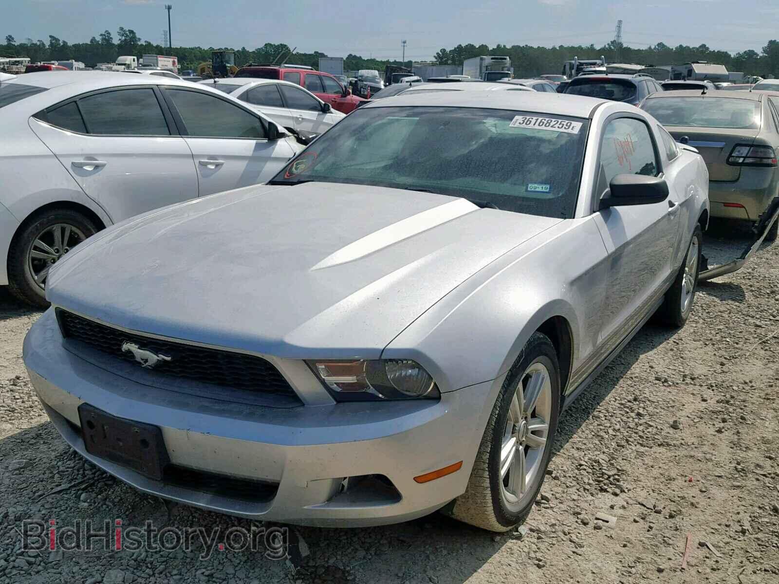 2011 FORD MUSTANG - VIN: 1ZVBP8AM3B5147968 - Фото 2
