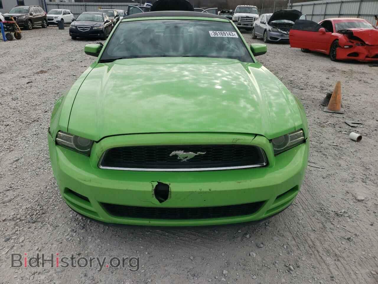 2013 FORD MUSTANG - VIN: 1ZVBP8EM1D5216833 - Фото 5