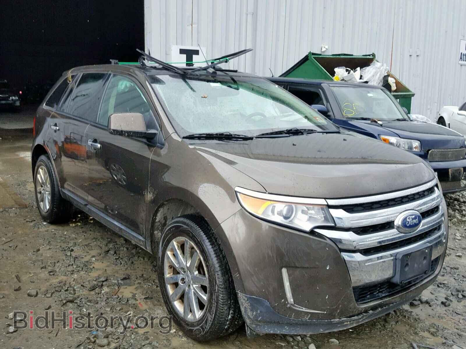 Photo 2FMDK3JC8BBA21584 - FORD EDGE SEL 2011