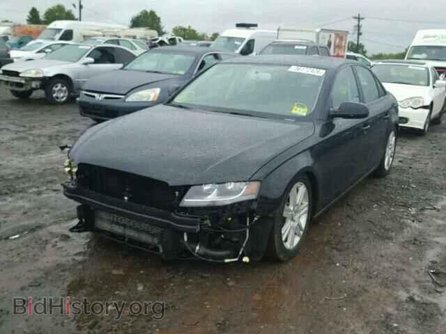 2011 AUDI A4 - VIN: WAUDFAFL7BN032499 - Фото 2