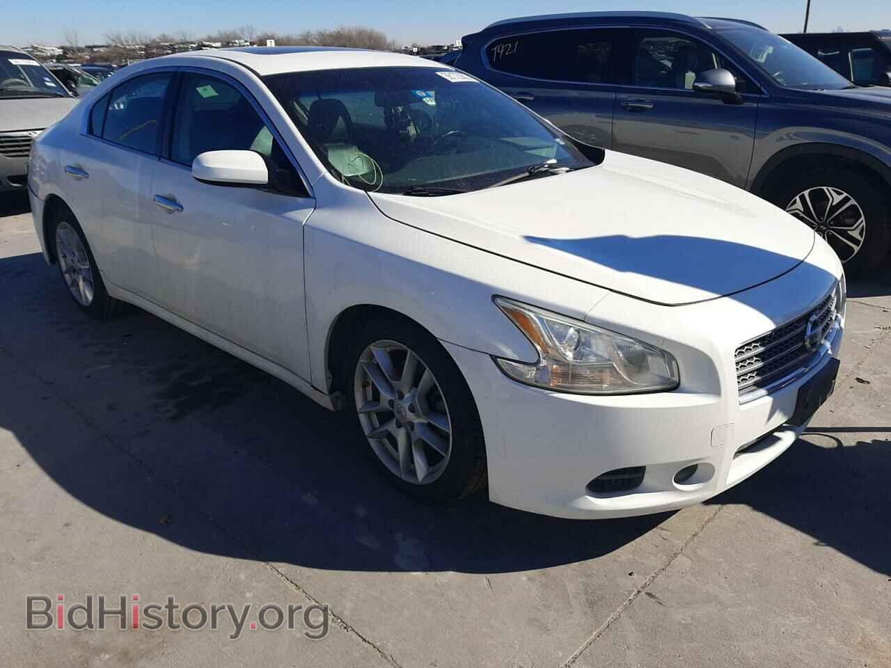 Photo 1N4AA5AP8AC816972 - NISSAN MAXIMA 2010