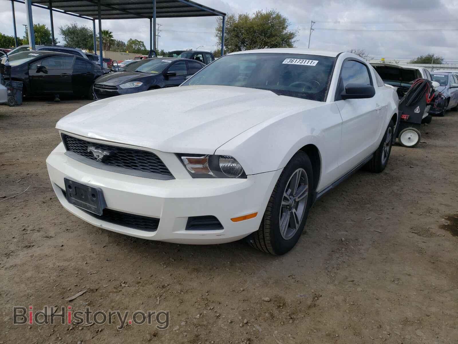 2011 FORD MUSTANG - VIN: 1ZVBP8AM6B5111630 - Фото 2
