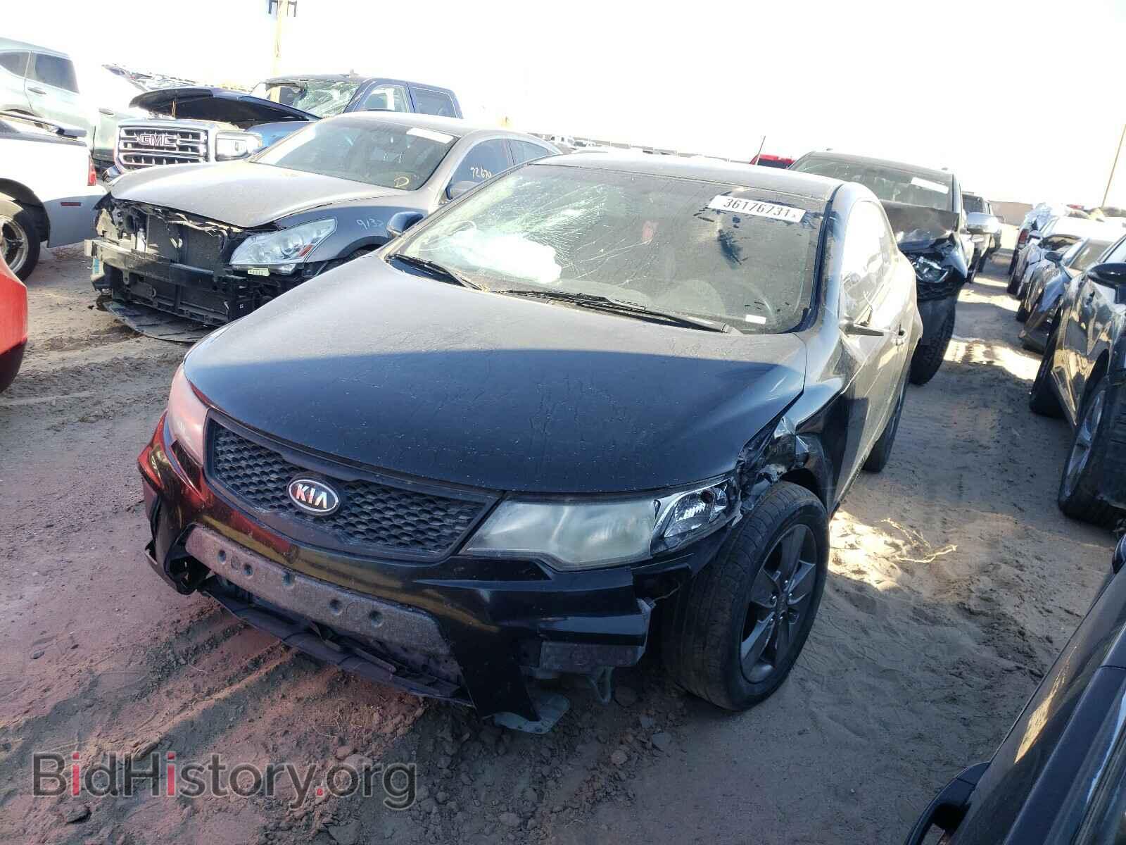 2012 KIA FORTE - VIN: KNAFU6A27C5585553 - Фото 2