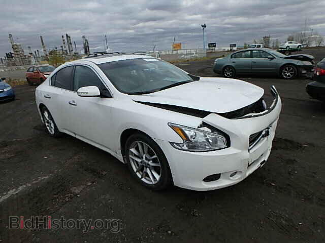 Фотография 1N4AA5AP0BC856710 - NISSAN MAXIMA 2011