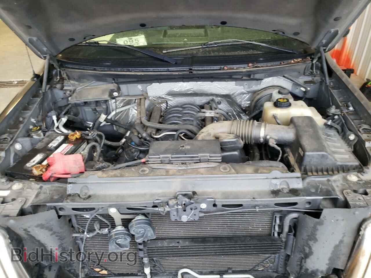 2012 FORD F-150 - VIN: 1FTFX1CF7CFA80507 - Фото 7