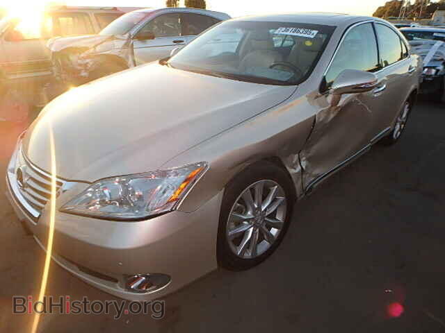 2011 LEXUS ES350 - VIN: JTHBK1EG8B2425311 - Фото 2