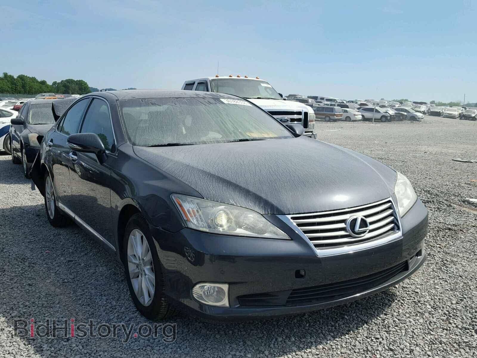 Фотография JTHBK1EG8B2426829 - LEXUS ES350 2011