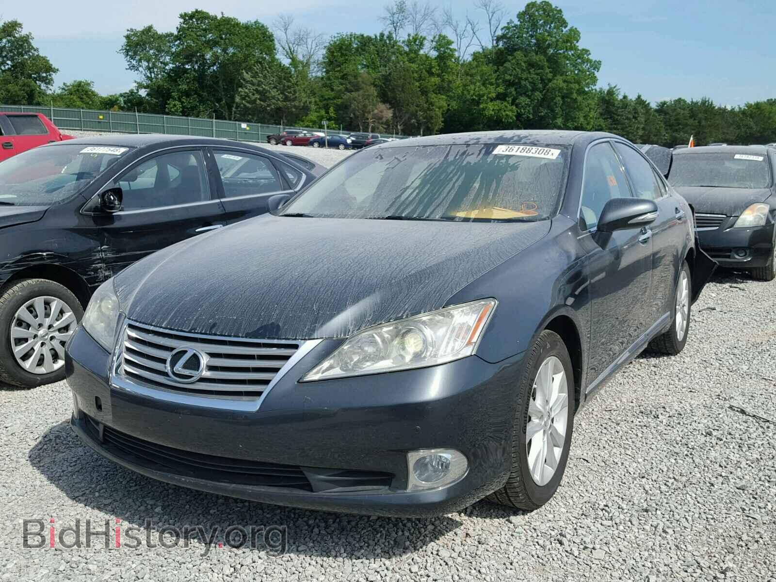 2011 LEXUS ES350 - VIN: JTHBK1EG8B2426829 - Фото 2