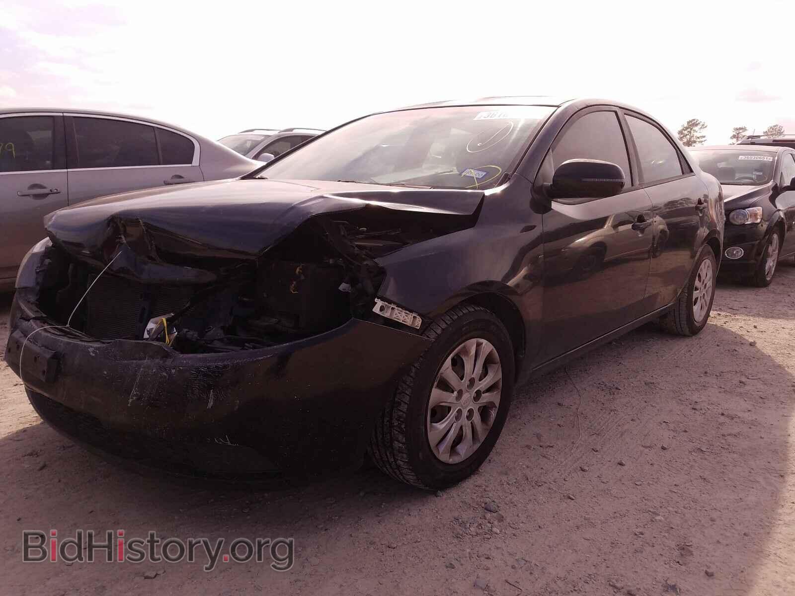 2011 KIA FORTE - VIN: KNAFU4A20B5378103 - Фото 2