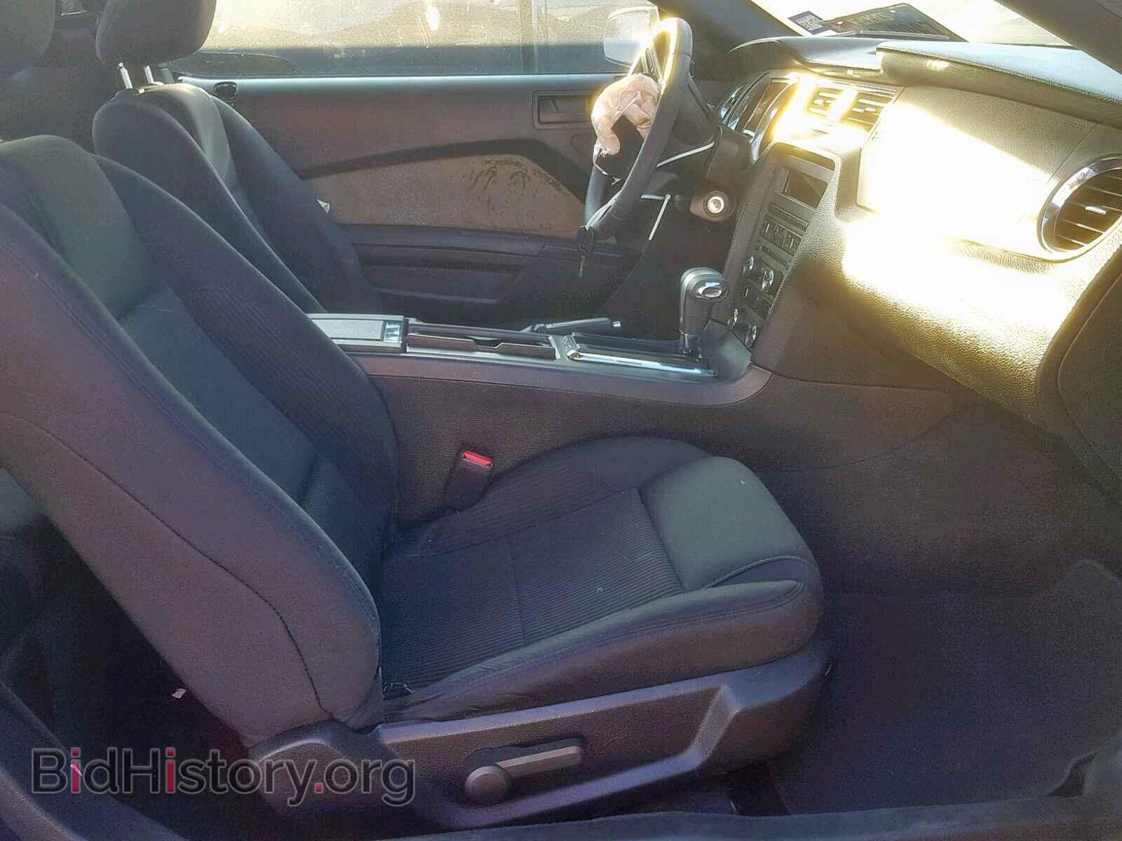2011 FORD MUSTANG - VIN: 1ZVBP8AM1B5146754 - Фото 5