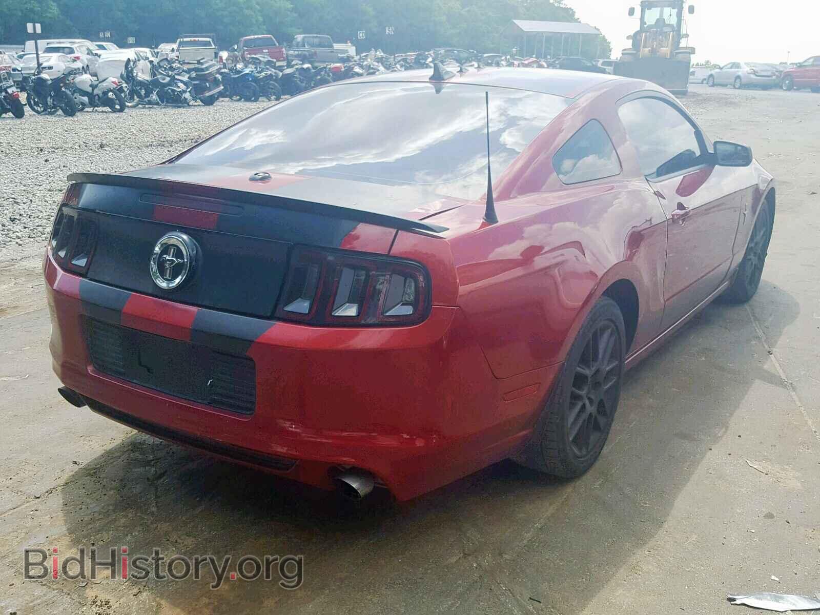 2014 FORD MUSTANG - VIN: 1ZVBP8AM4E5257044 - Фото 4