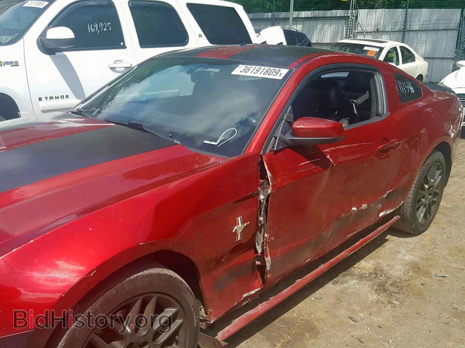 2014 FORD MUSTANG - VIN: 1ZVBP8AM4E5257044 - Фото 9