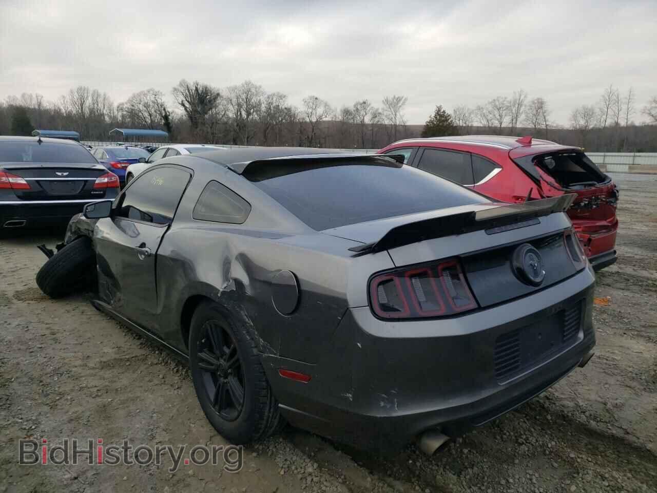 2013 FORD MUSTANG - VIN: 1ZVBP8AM3D5265425 - Фото 3
