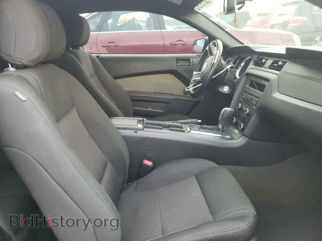 2013 FORD MUSTANG - VIN: 1ZVBP8AM3D5265425 - Фото 5