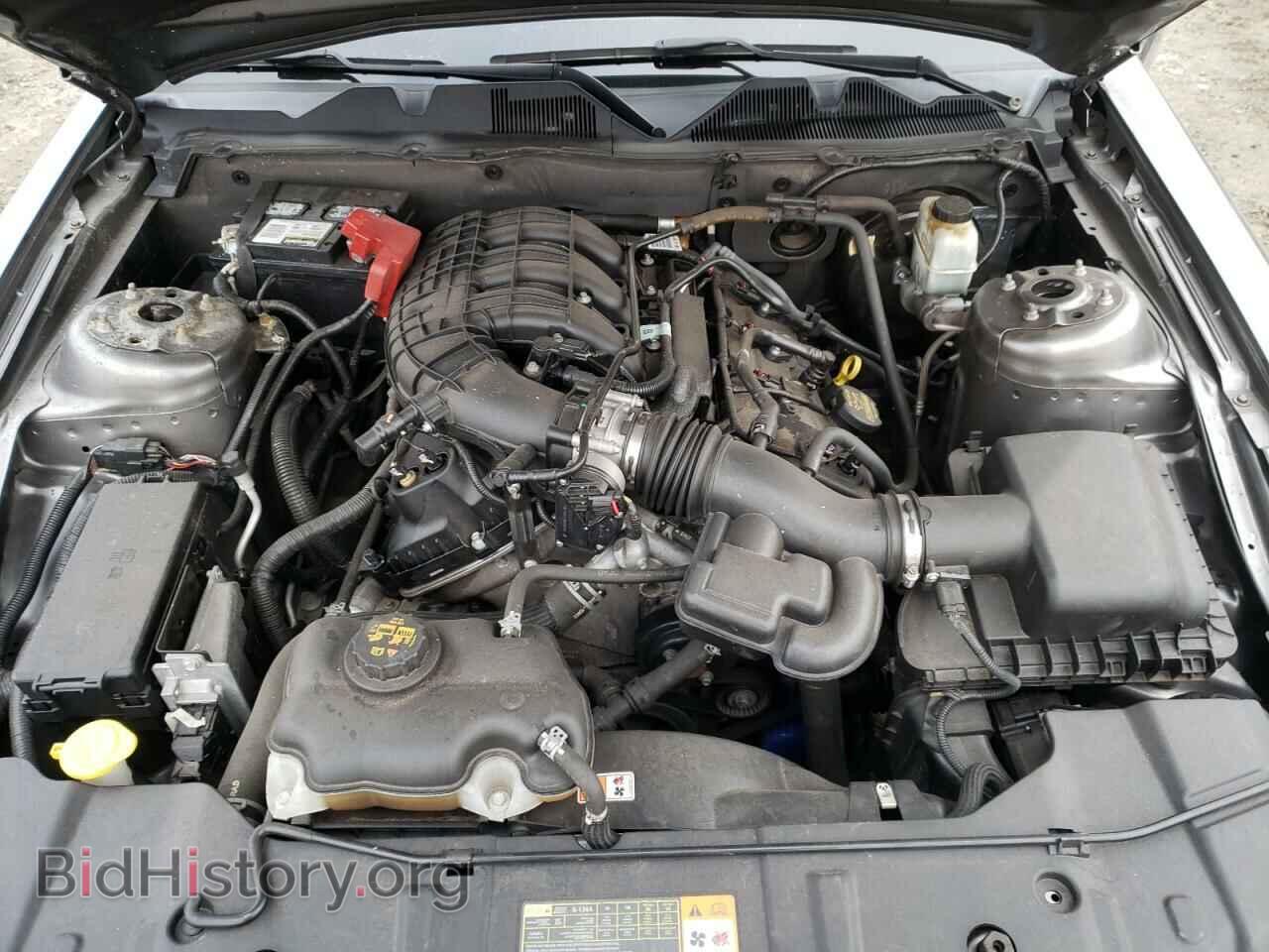 2013 FORD MUSTANG - VIN: 1ZVBP8AM3D5265425 - Фото 7