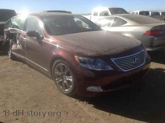 Photo JTHDU46F095010602 - LEXUS LS600 2009