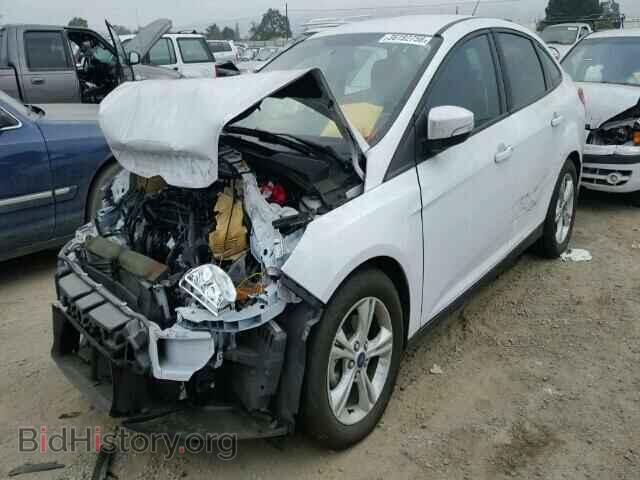 2014 FORD FOCUS - VIN: 1FADP3F21EL432874 - Фото 2