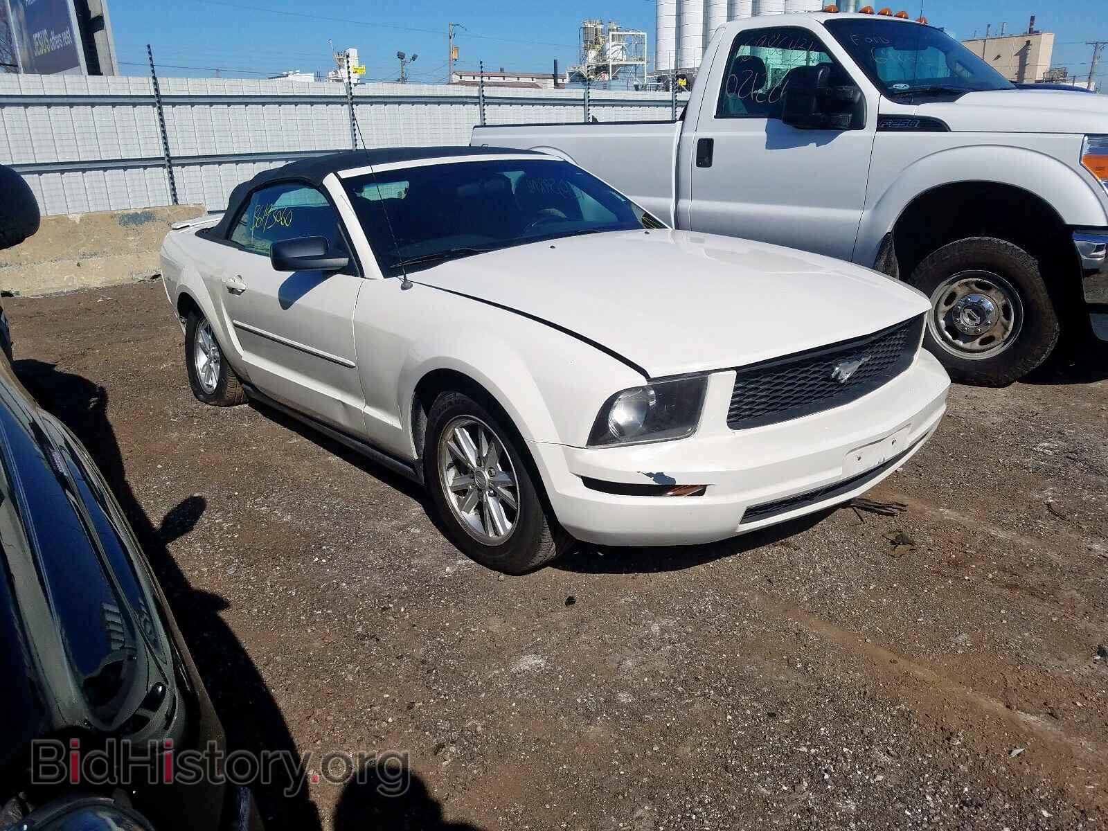 Фотография 1ZVFT84NX75321821 - FORD MUSTANG 2007