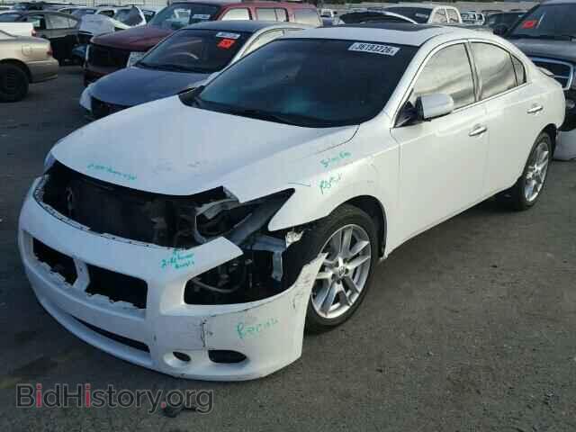 2011 NISSAN MAXIMA - VIN: 1N4AA5AP1BC826549 - Фото 2
