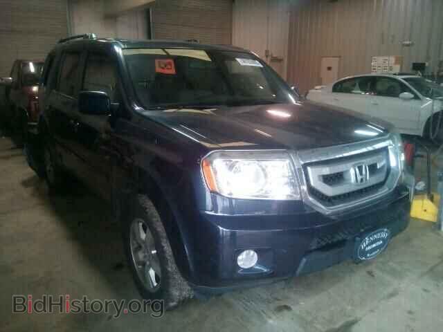 Фотография 5FNYF3H51BB046623 - HONDA PILOT 2011