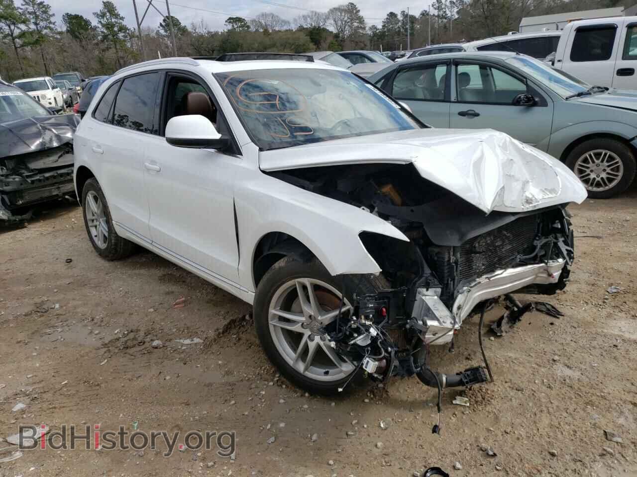 Photo WA1LFAFP8DA078316 - AUDI Q5 2013