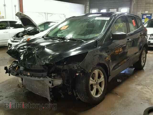 2014 FORD ESCAPE - VIN: 1FMCU0F77EUE12918 - Фото 2