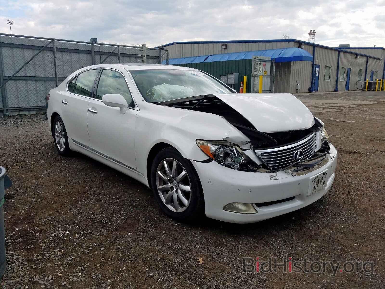 Photo JTHBL46FX85054762 - LEXUS LS460 2008