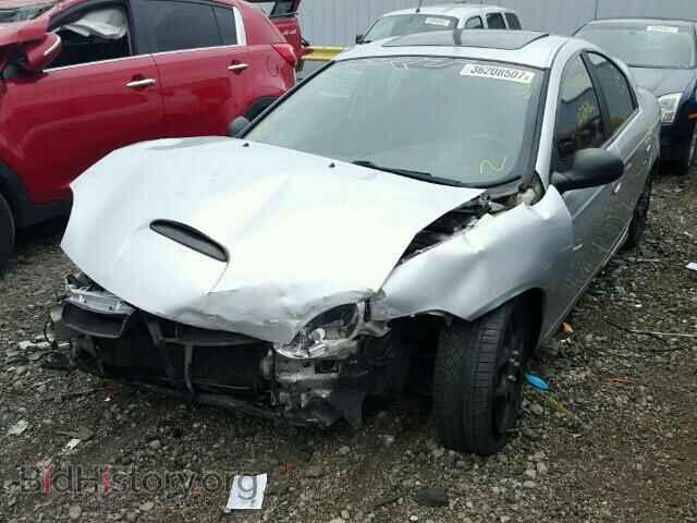 2004 DODGE NEON - VIN: 1B3ES66S44D535666 - Фото 2
