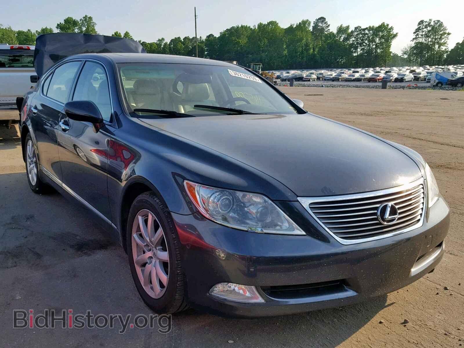 Фотография JTHGL46F385032530 - LEXUS LS460 2008