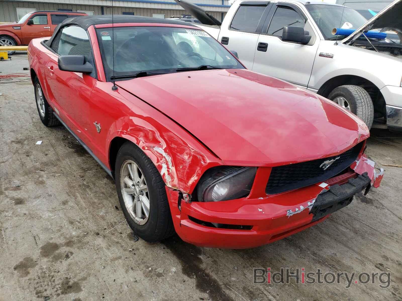 Photo 1ZVHT84N495112585 - FORD MUSTANG 2009