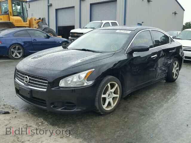 2009 NISSAN MAXIMA S - VIN: 1N4AA51E39C853941 - Фото 2