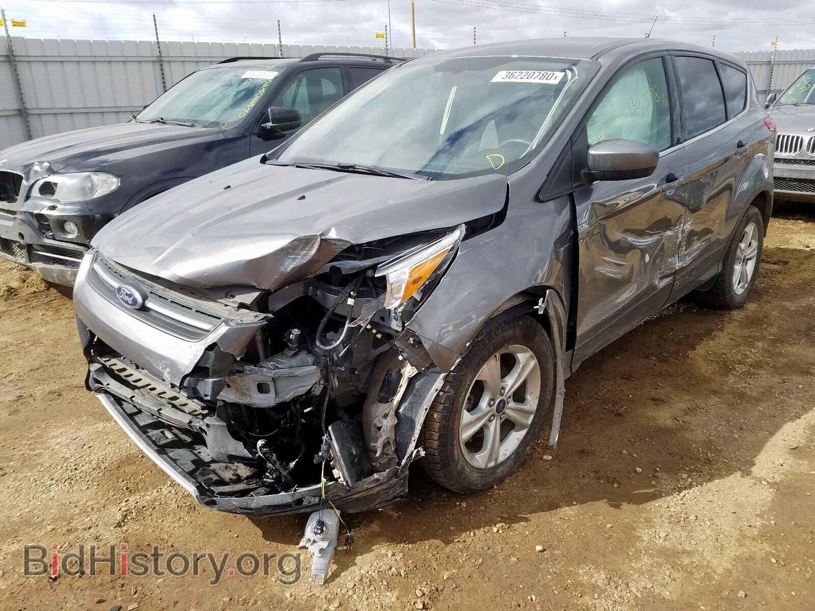 2014 FORD ESCAPE - VIN: 1FMCU0GX1EUD26969 - Фото 2