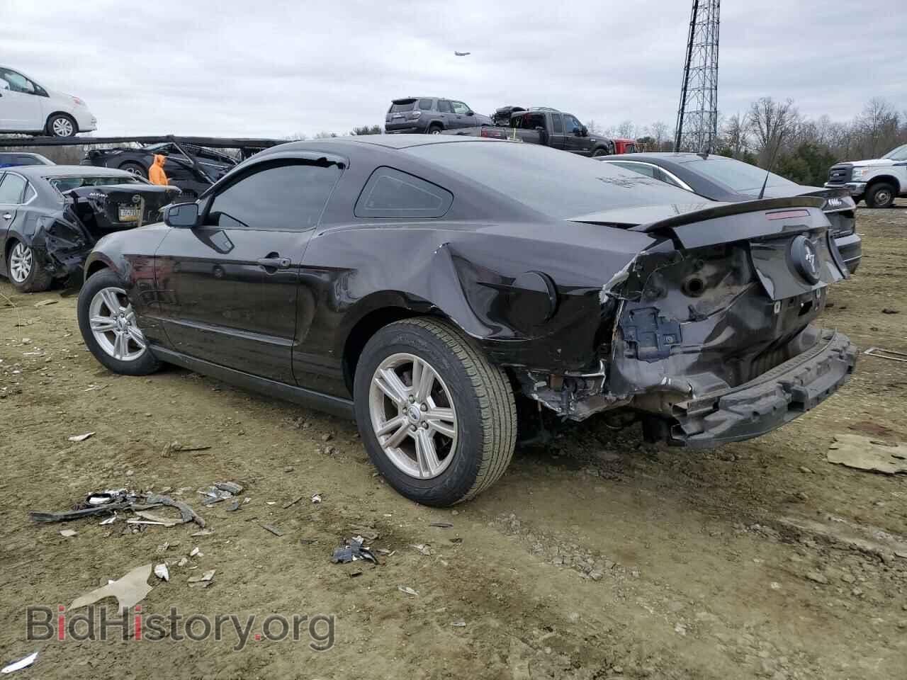 2012 FORD MUSTANG - VIN: 1ZVBP8AM4C5218466 - Фото 2