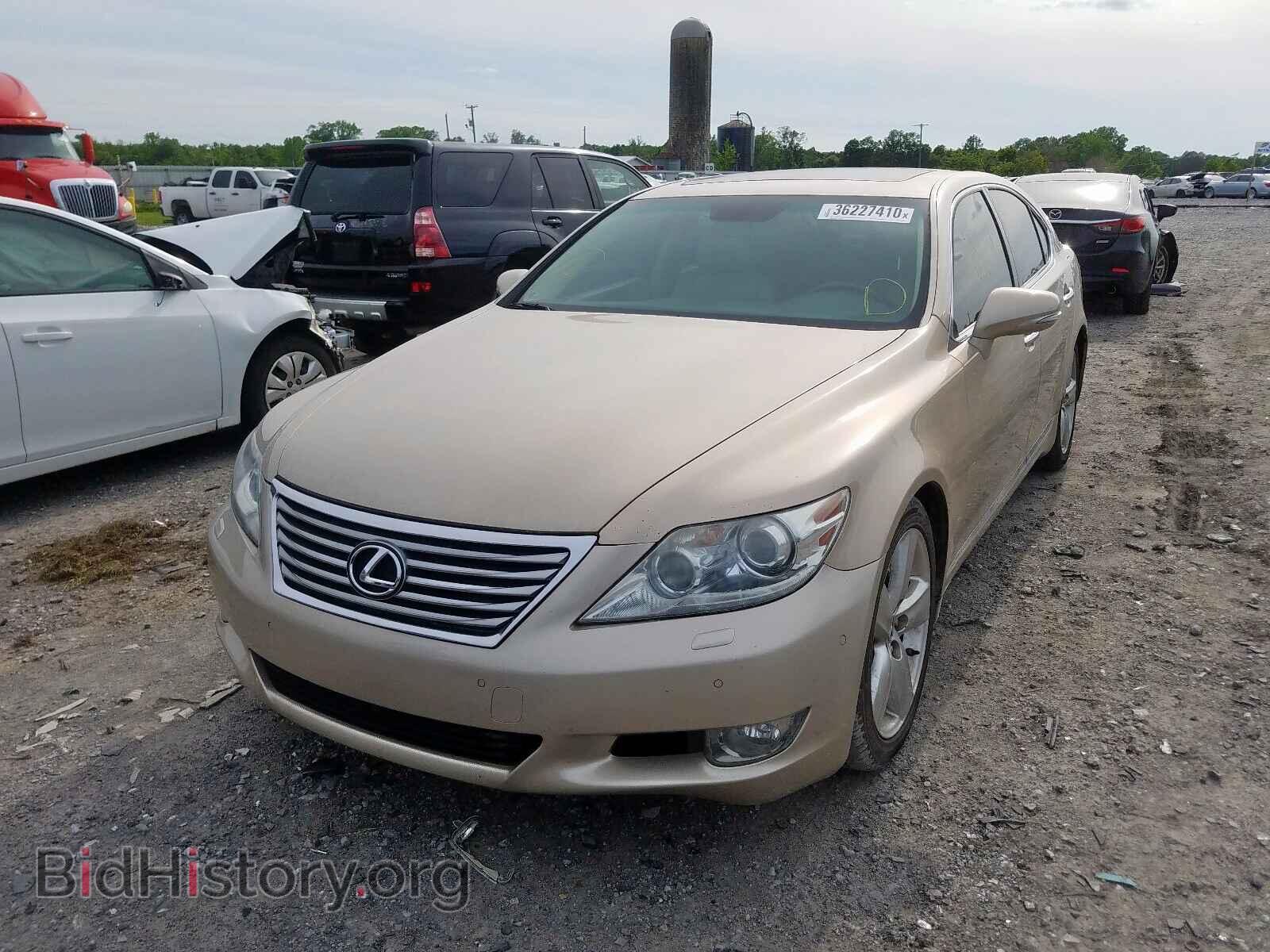 2011 LEXUS LS460 - VIN: JTHBL5EF8B5107652 - Photo 2