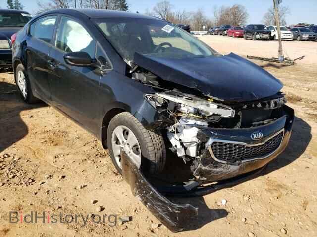 2015 KIA FORTE - VIN: KNAFK4A67F5432138 - Фото 9