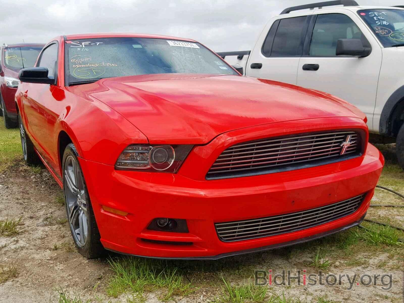 Photo 1ZVBP8AM4E5332812 - FORD MUSTANG 2014