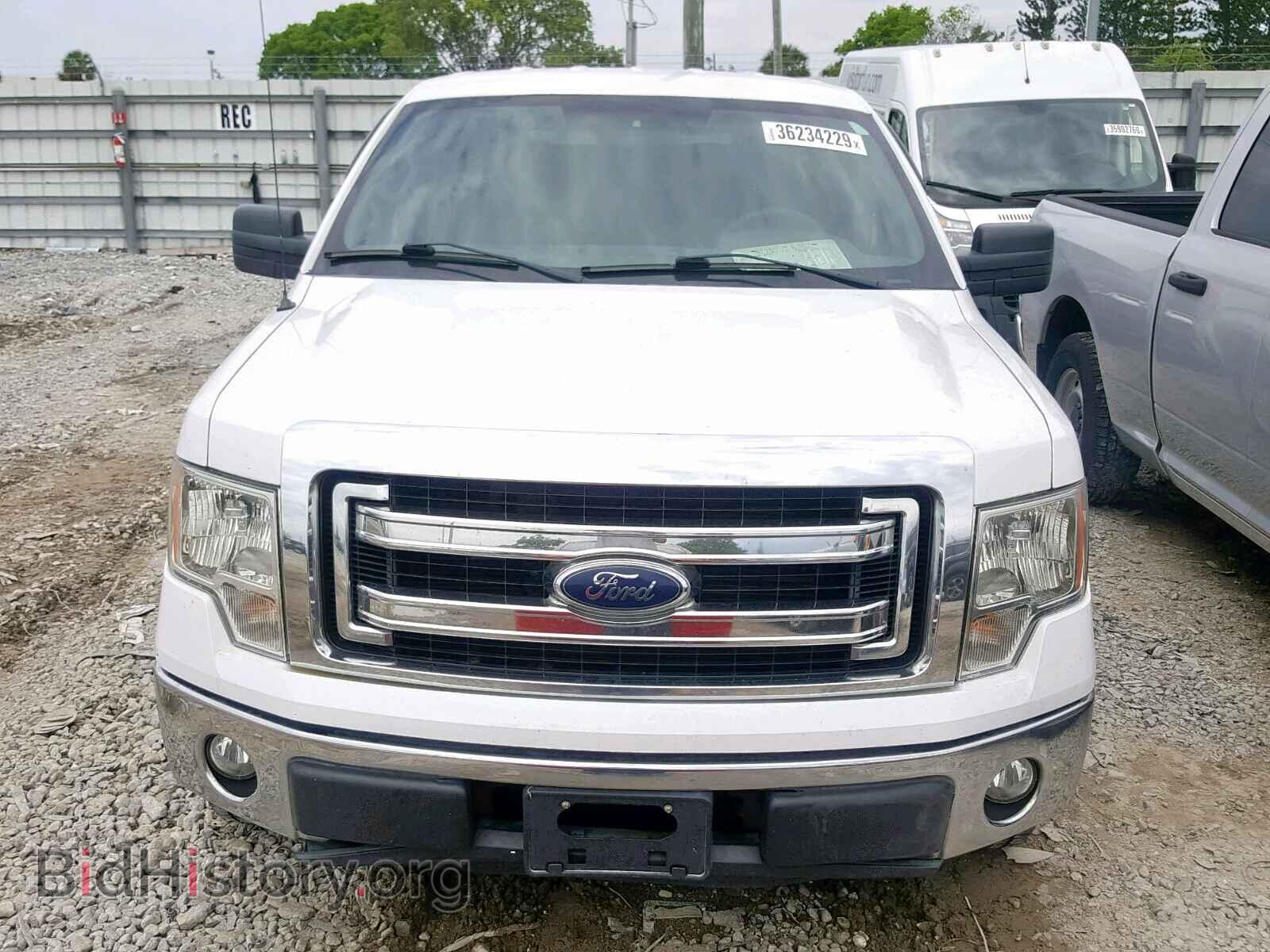 2013 FORD F150 - VIN: 1FTMF1CM0DFD70422 - Фото 9