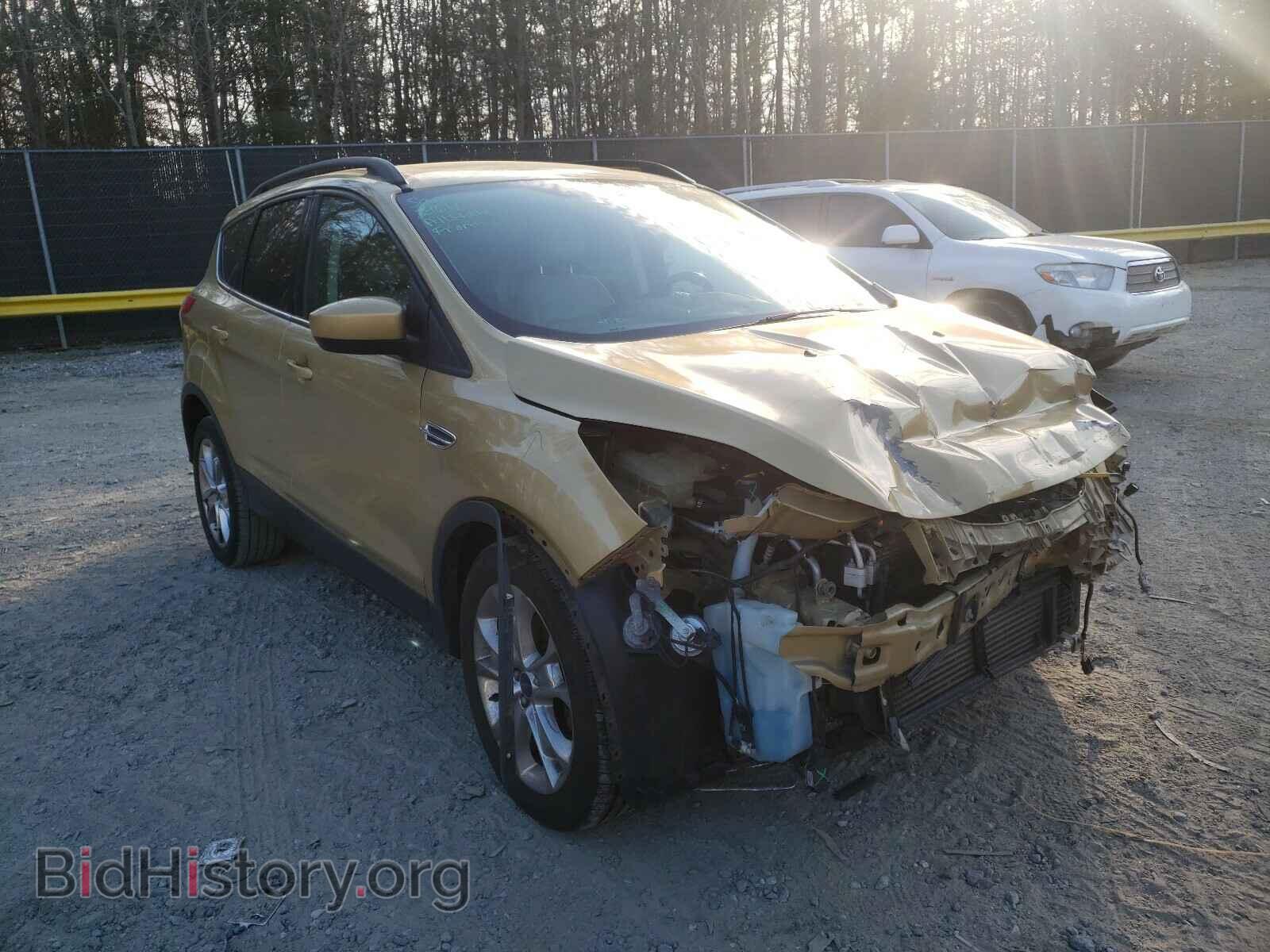 Фотография 1FMCU0GX9EUC49655 - FORD ESCAPE 2014