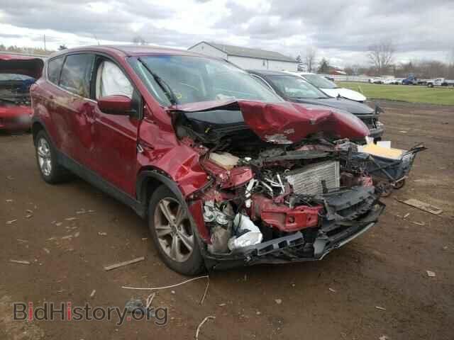 Фотография 1FMCU0GX7EUD42626 - FORD ESCAPE 2014