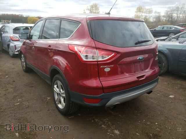 2014 FORD ESCAPE - VIN: 1FMCU0GX7EUD42626 - Фото 3