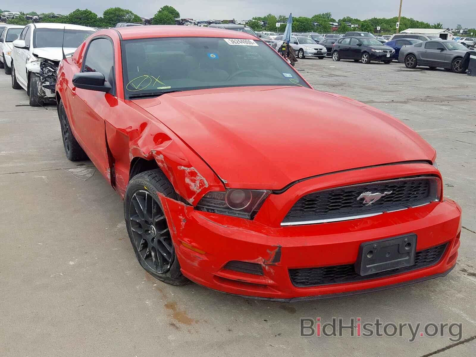 Photo 1ZVBP8AM4E5260963 - FORD MUSTANG 2014