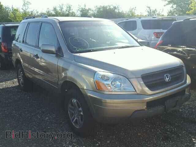 Фотография 5FNYF18645B018350 - HONDA PILOT 2005