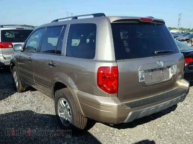 2005 HONDA PILOT - VIN: 5FNYF18645B018350 - Фото 3