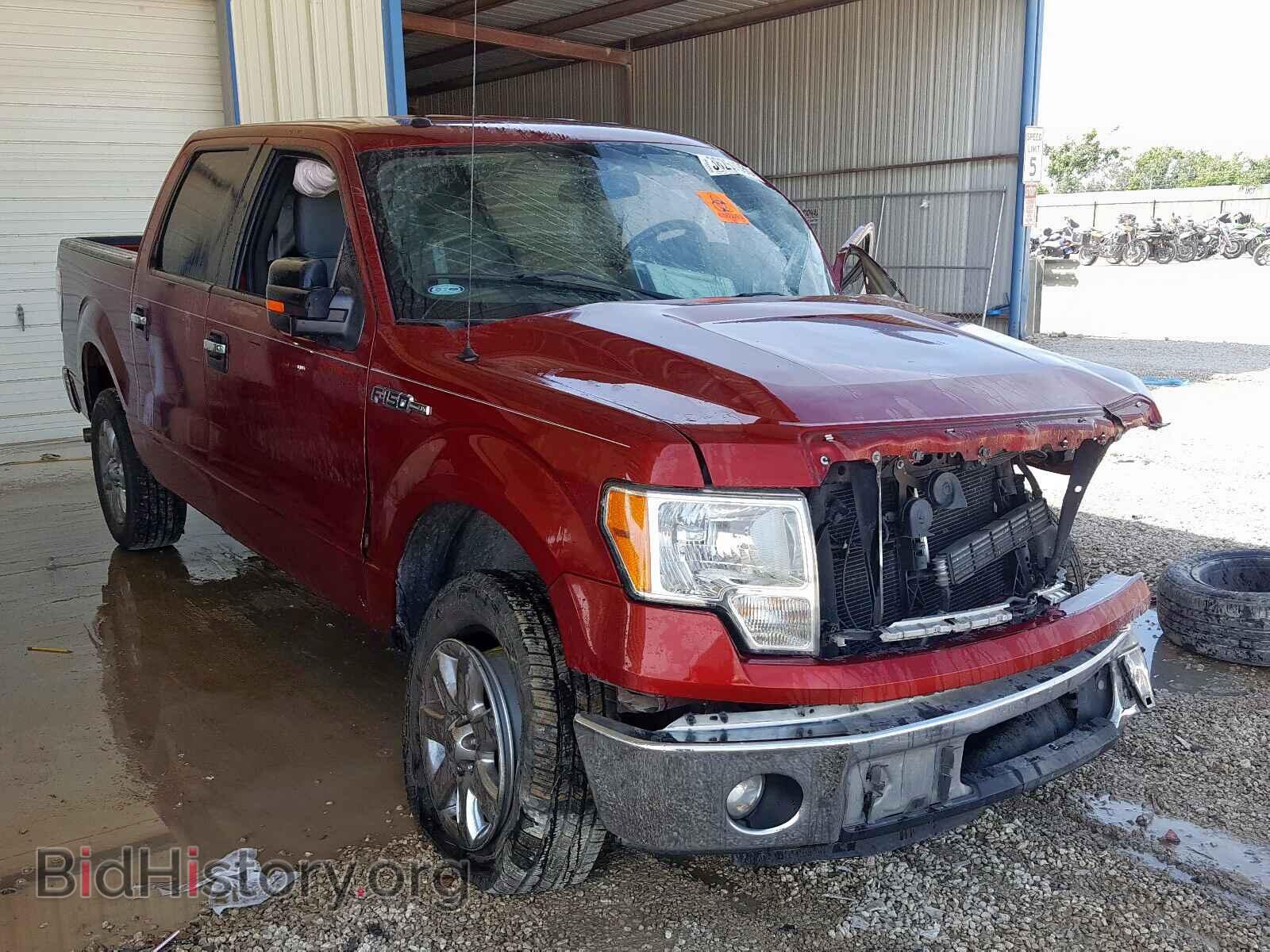 Фотография 1FTFW1CF9DKF59443 - FORD F150 2013