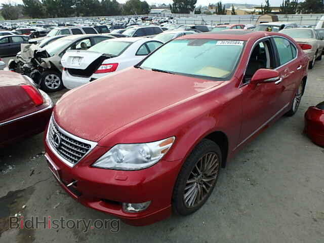 2011 LEXUS LS460 - VIN: JTHBL5EF1B5104074 - Фото 2